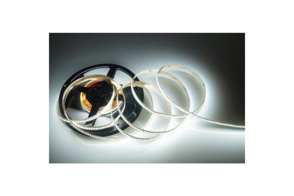 5 Meter LED Streifen 24V 2835 Kaltweiss 6300K 14