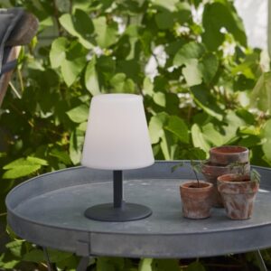 LED Garten Tischlampe - H: 26