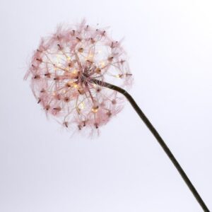 LED Pusteblume - Kunstblume - 22 warmweiße LED - H: 90cm - Batterie...